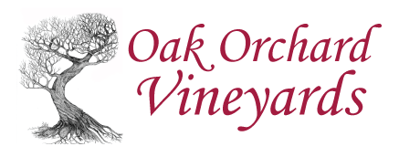 Oak Orchard Vineyards